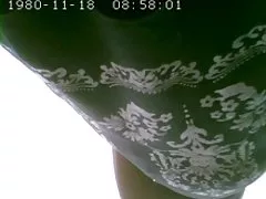 غستوسس.