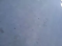 غنيمة مذهلة في الحافلات