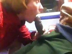الديك الأسود في القطار إلى بوتني-كس