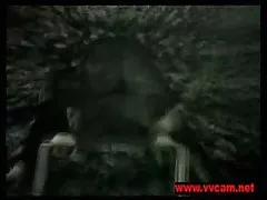 المتلصص من فرنسا