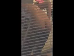 ببساطة لا يقاوم
