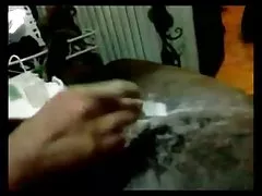 ذكر قرنية أسود يحصل على الكرات وديك مشمع!