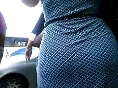 الحمار فستان استامبادو فيستيدو