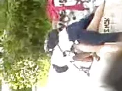 باريخا دي استوديانتيس كوجيندو en el باركي.