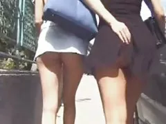سكرتيرات 35