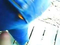 ماسا انكوكساداس نوفينها نا-حدب في نوفينها الحمار