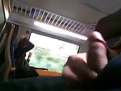 تجميع الديك وامض
