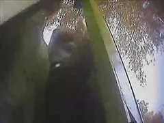 المتلصص بيتش المقصورة الجزء 1