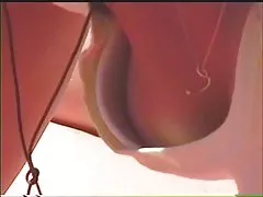دوونبلوسيس الهواة