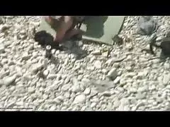 بيتشفوييور 160