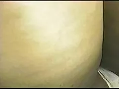 الحمار عشاق سكرتيرات