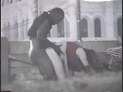 عرقي زوجين الداعر في الحديقة