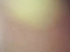 تتمتع سلسلة 185 سكرتيرات