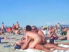 دافانتي توتي